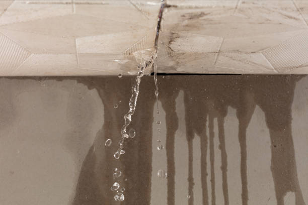 Professional Water Extraction technician working in Genoa, NV